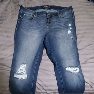 Torrid Skinny Jeans
